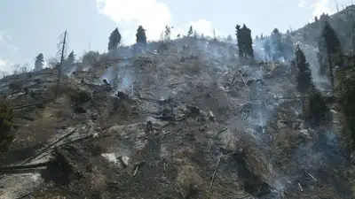 Пожар, Медеу, лесной пожар, фото - Новости Zakon.kz от 10.05.2023 11:59