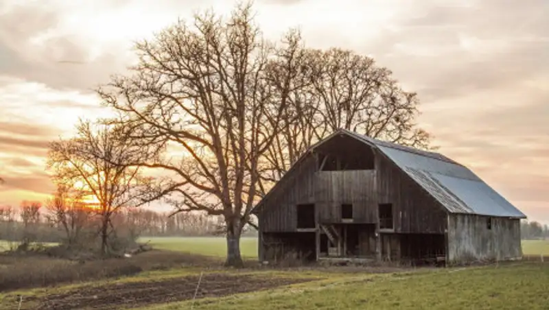 Труп обнаружили в сарае в Караганде
