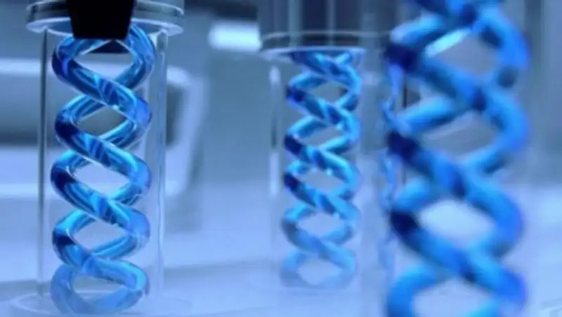 Канадские ученые создали синтетический вирус оспы‍