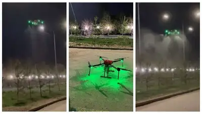 вредители, насаждения, биообработка, фото - Новости Zakon.kz от 21.04.2022 14:56