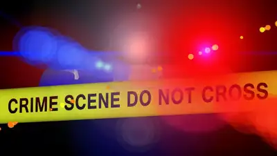 pixabay.com, фото - Новости Zakon.kz от 11.04.2019 21:54