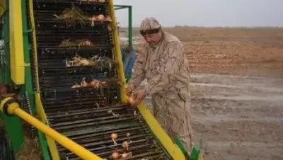 Zakon.kz, фото - Новости Zakon.kz от 20.10.2016 15:04