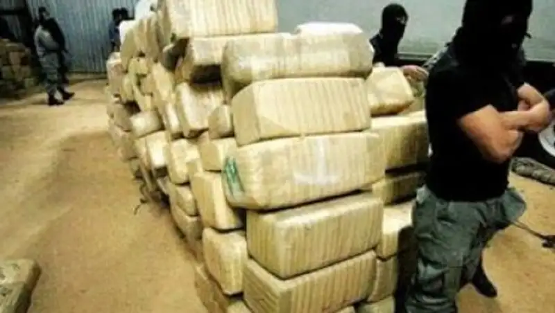 В Алматинской области пресекли экономическую контрабанду на 60 млн тенге