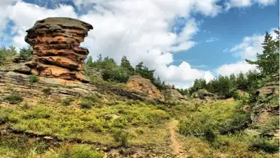 novikovv.ru, фото - Новости Zakon.kz от 07.10.2018 12:38