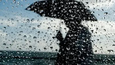 Zakon.kz, фото - Новости Zakon.kz от 19.11.2017 06:25