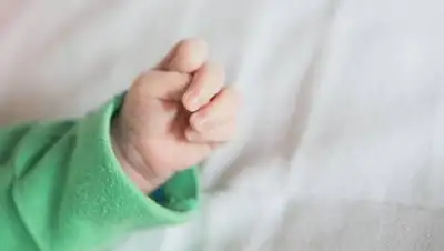 znaj.ua, фото - Новости Zakon.kz от 20.10.2020 10:50