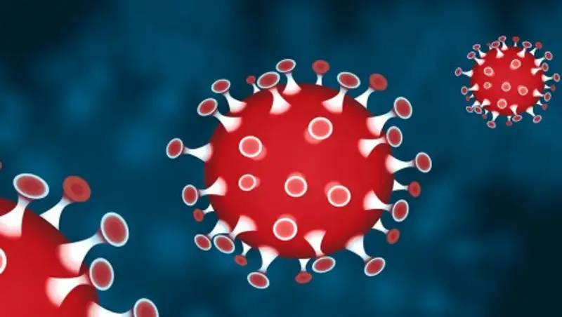 Казахстанские ученые стали экспертами ВОЗ по борьбе с COVID-19