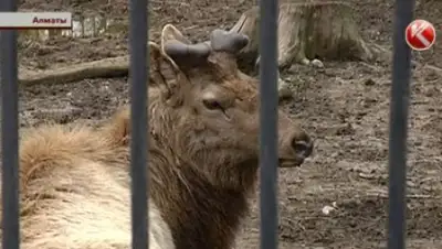 Zakon.kz, фото - Новости Zakon.kz от 02.04.2016 04:16