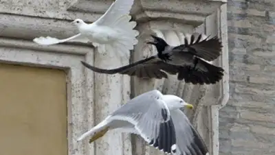 Zakon.kz, фото - Новости Zakon.kz от 26.01.2015 15:15