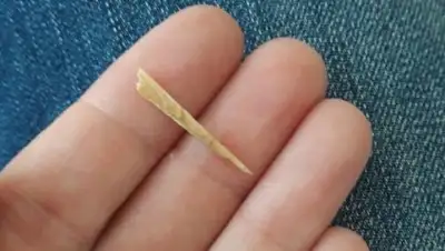 alau.kz, фото - Новости Zakon.kz от 15.10.2018 11:41