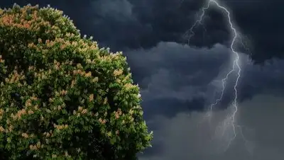 pixabay.com, фото - Новости Zakon.kz от 07.06.2021 17:38