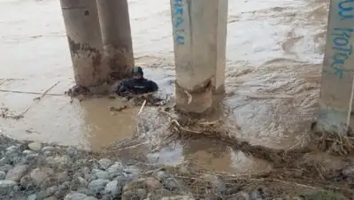 inform.kz, фото - Новости Zakon.kz от 25.04.2018 06:36