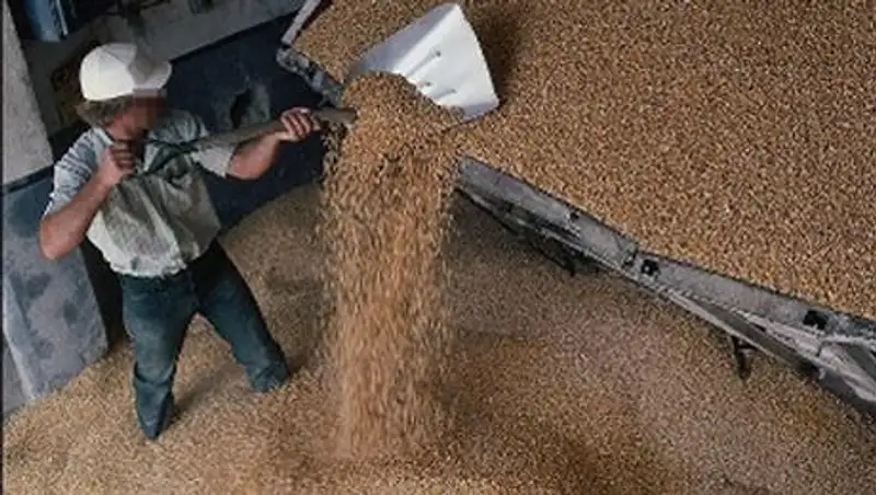 В СКО механизатор похитил с поля 260 литров дизельного топлива