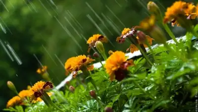 Zakon.kz, фото - Новости Zakon.kz от 07.06.2015 14:00