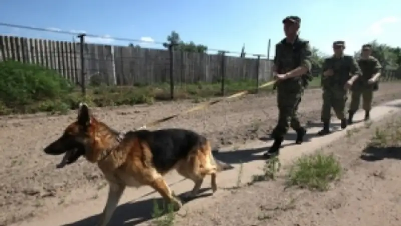 Узбекские пограничники ранили двух граждан Кыргызстана