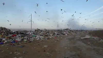 Zakon.kz, фото - Новости Zakon.kz от 14.10.2017 13:05