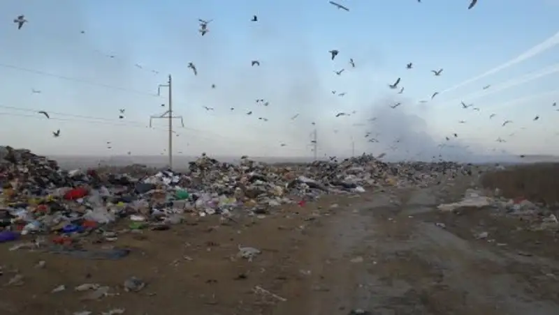 Экологи призывают власти Уральска отказаться от проекта по сжиганию нефтеотходов