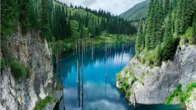 озеро, березы, природа, вандалы, фото - Новости Zakon.kz от 18.12.2021 14:55