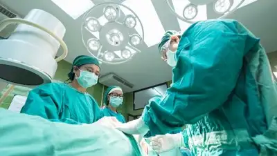 pixabay.com, фото - Новости Zakon.kz от 18.02.2019 20:32