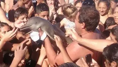 Zakon.kz, фото - Новости Zakon.kz от 17.08.2017 01:43