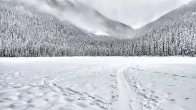 pexels.com, фото - Новости Zakon.kz от 22.02.2021 10:36