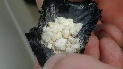 Более 240 кг наркотиков изъяли из незаконного оборота в области Жетісу