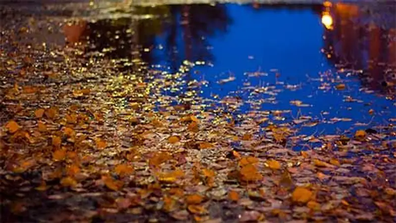 Погода без осадков сохранится сегодня на юге, юго-востоке и западе страны