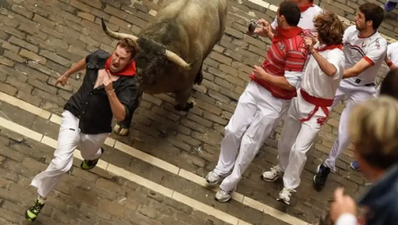 Один человек погиб на празднике во время забега быков в Испании