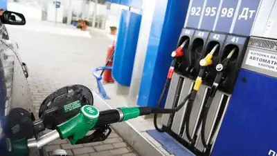 Zakon.kz, фото - Новости Zakon.kz от 14.10.2016 15:17