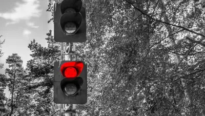 pixabay.com, фото - Новости Zakon.kz от 29.06.2019 13:56