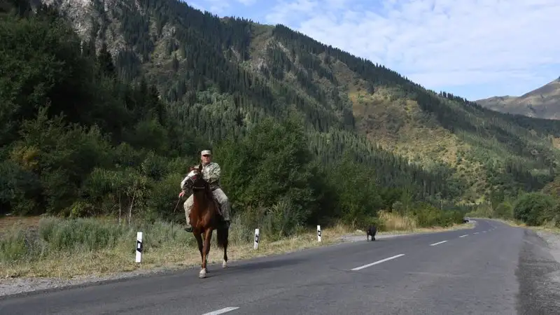 Природоохранным инспекторам и лесникам вдвое повысят зарплату со 2 сентября