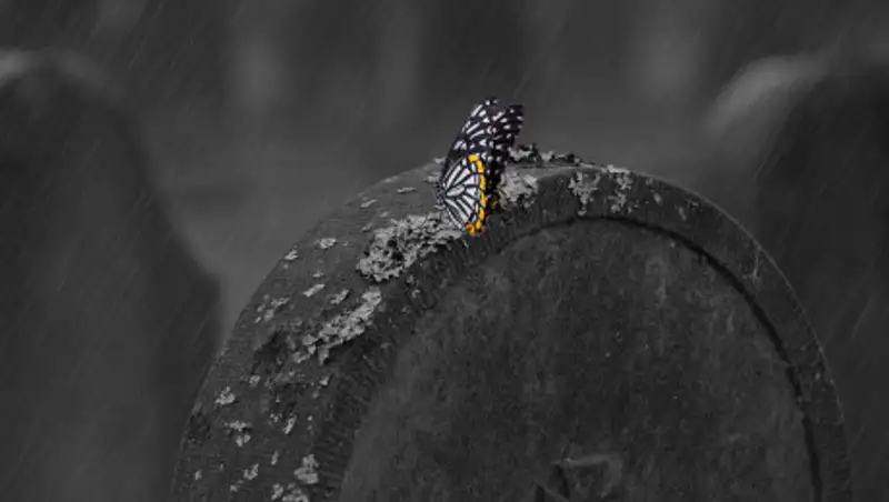 В ЗКО покойника отвезли на кладбище на санках из-за снега