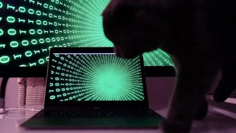 Что делать при утечке данных, рассказали эксперты