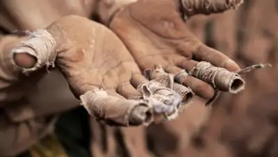 24kz, фото - Новости Zakon.kz от 22.07.2020 07:16