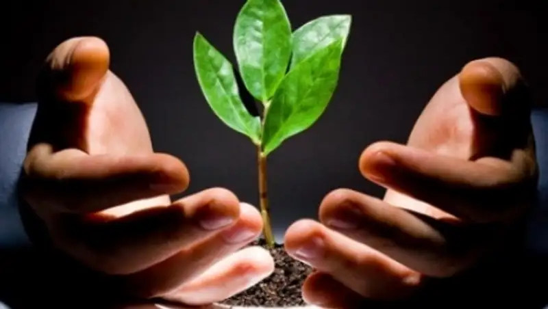 Развитию бизнеса уделят особое внимание в Казахстане