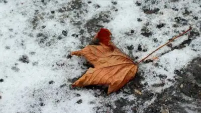 pixabay.com, фото - Новости Zakon.kz от 08.11.2021 22:04