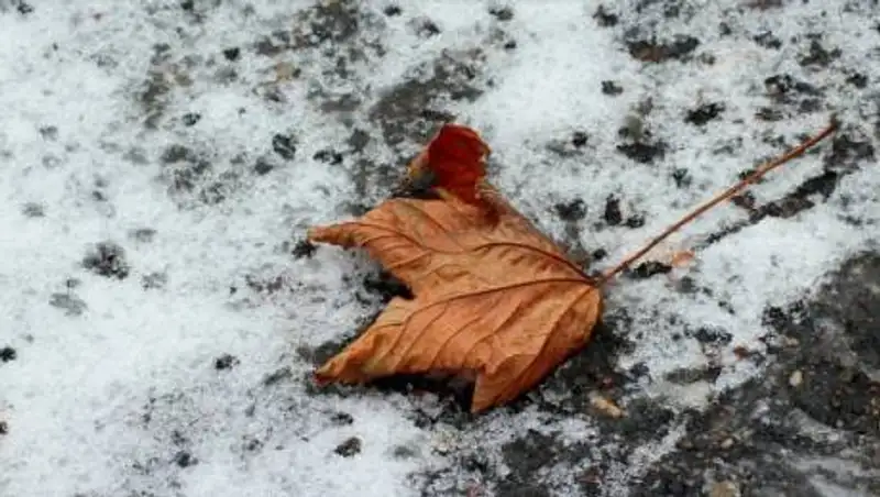 Какая погода ждет казахстанцев 9 ноября