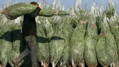 Zakon.kz, фото - Новости Zakon.kz от 10.12.2014 17:52