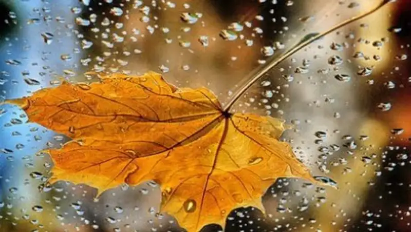 На большей части Казахстана 9 сентября пройдут дожди с грозами