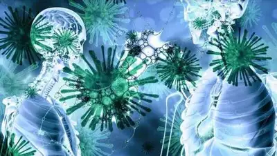 pixabay.com, фото - Новости Zakon.kz от 21.01.2021 10:42