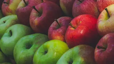 Яблоки, яблочное пюре, диетолог, фото - Новости Zakon.kz от 26.05.2022 14:24