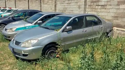 Zakon.kz, фото - Новости Zakon.kz от 04.07.2017 17:11