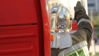 total.kz, фото - Новости Zakon.kz от 12.11.2018 15:11