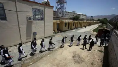 afghanistantoday.net, фото - Новости Zakon.kz от 02.08.2020 20:24