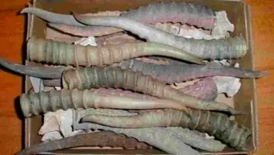 Zakon.kz, фото - Новости Zakon.kz от 19.10.2015 22:46