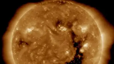 Zakon.kz, фото - Новости Zakon.kz от 17.08.2017 18:02