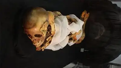 Zakon.kz, фото - Новости Zakon.kz от 25.08.2014 22:46