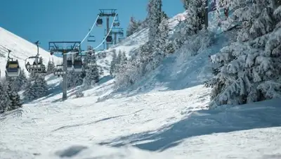 Pixabay, фото - Новости Zakon.kz от 21.02.2019 13:53