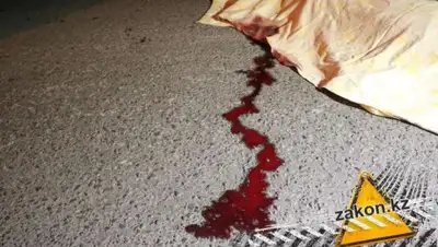 Zakon.kz, фото - Новости Zakon.kz от 16.03.2017 20:25