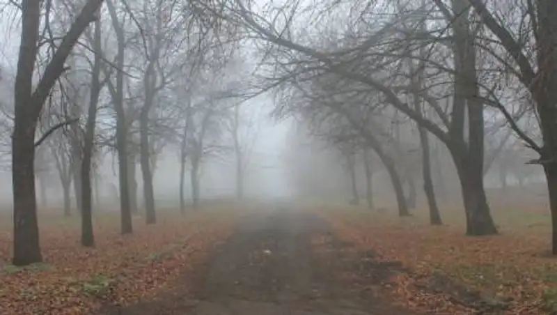 Прогноз погоды по территории Казахстана на 13 ноября